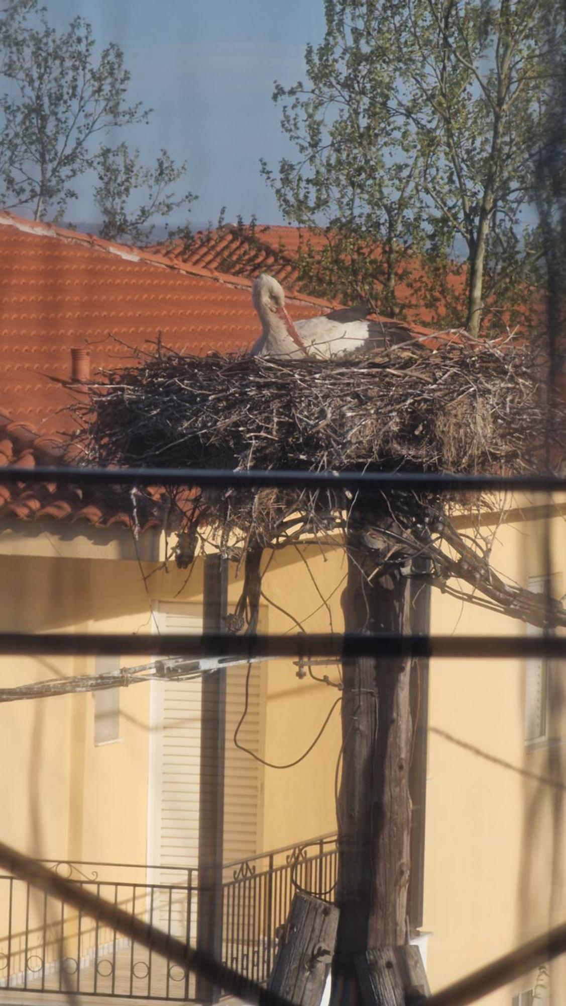Kofinaki Apartment 1 Tycherón Zewnętrze zdjęcie